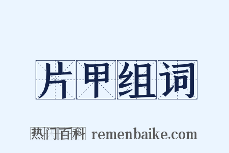 片甲组词是什么意思的图片